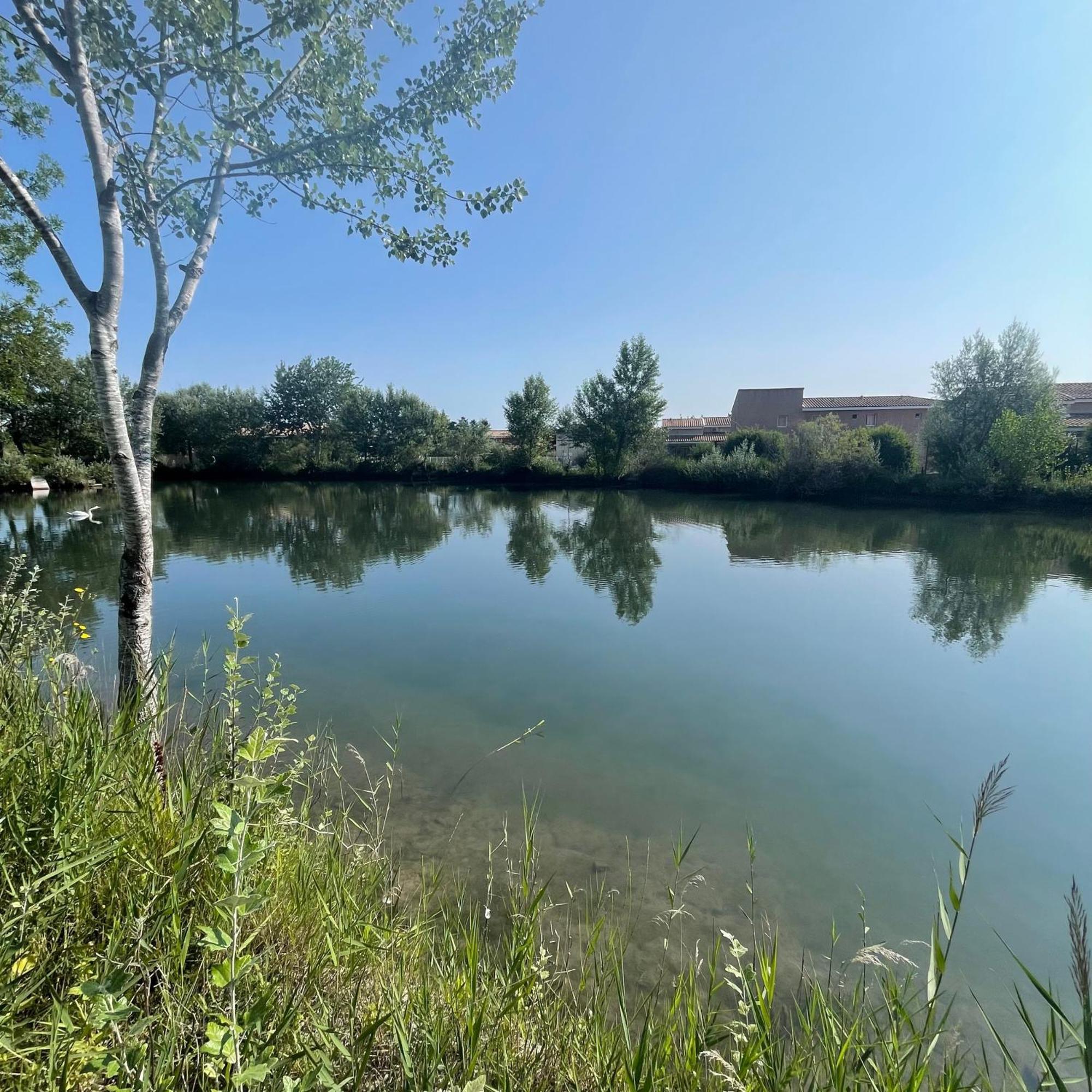 Maison Plain Pied Avec Climatisation Dans Une Residence Privee Avec Piscine Saint-Saturnin-lès-Avignon Eksteriør billede